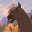 Just a guy who loves a horse - ζexclusive
🔞Sadists, MAPs, and minors DNI🔞