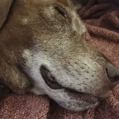 LarryOConner's profile picture. 