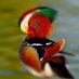 @Bird.xxx (@pheiyr_yaem) Twitter profile photo @Bird.xxx (@pheiyr_yaem) Twitter profile photo