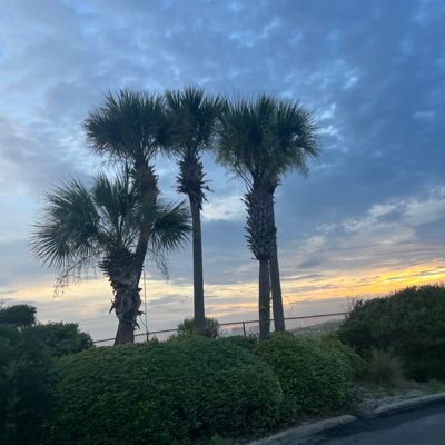 a_beg_forhelp's profile picture. Trying to learn and grow for everything i lost.