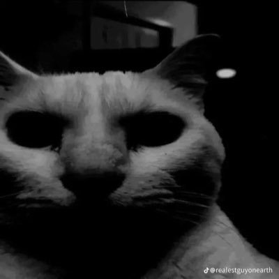 Bud3Bud's profile picture. hi 21