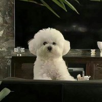 Поэтесса (@fxmqw) 's Twitter Profile