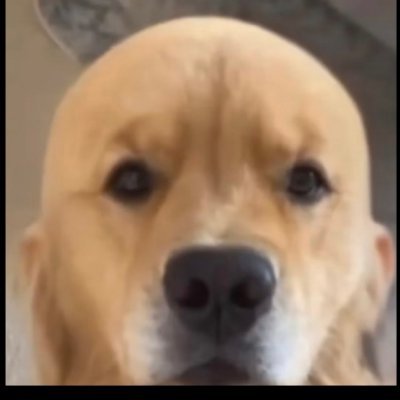 kng969455110115's profile picture. 🉑🉑🉑，瘾大