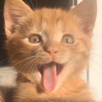yuuniさんのプロフィール画像