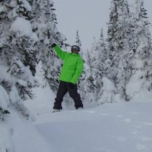 ksmid22's profile picture. I like turtles!