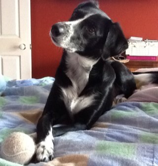 McRaeSusan's profile picture. 