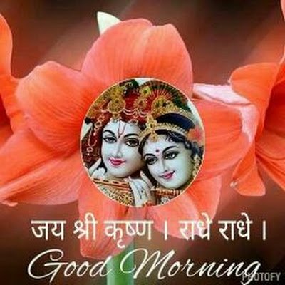 chuphal556705's profile picture. 