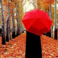 ســــانـــازی (@teymorisanaz) 's Twitter Profile Photo