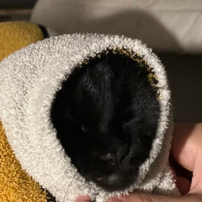 _kaylarubio_'s profile picture. 