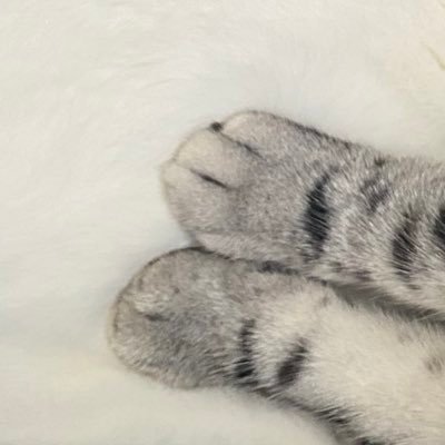 はいぶりさんのプロフィール画像