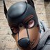 Mutt (@NorfolkSub) Twitter profile photo