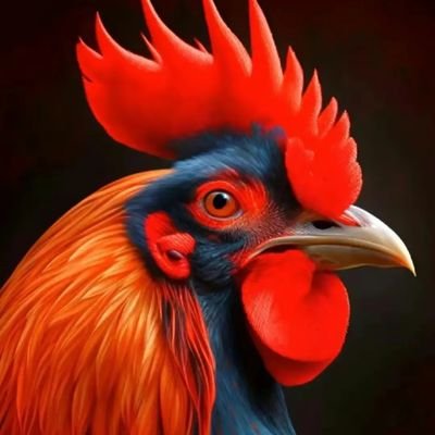 lu_jin91390's profile picture. 