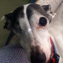 Christy Stokes - @IGmommy - Twitter