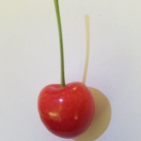 πΈππππππππ (@gnadolinm) 's Twitter Profile