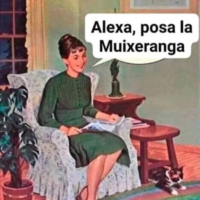 P91614103's profile picture. només vull cridar aquí tot el que he de callar fora!