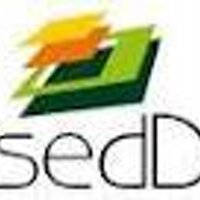 Sedd O (@sedd_o) 's Twitter Profile