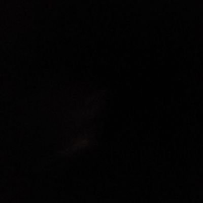 sakar_shaho's profile picture. 