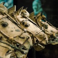 Horsepower (@horsepowerercuk) 's Twitter Profile