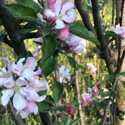 i30fan's profile picture. supporter of all things that solidify individual Liberty.