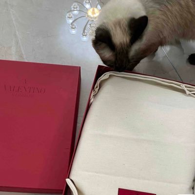 Lexie190016's profile picture. 