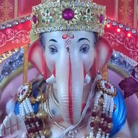 Ajay W (@ajayw196135) 's Twitter Profile