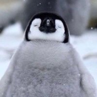 ミルチ (@boconcept) 's Twitter Profile