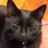 feevrt's profile image