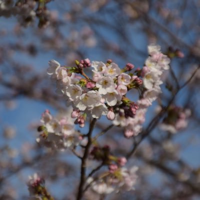 いま上司と一緒に路線バスを乗務してます。独り立ちできるようにがんばります