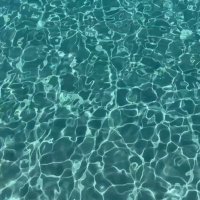 . (@trustorey) 's Twitter Profile