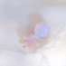 mimoth (@im_oth_) Twitter profile photo mimoth (@im_oth_) Twitter profile photo