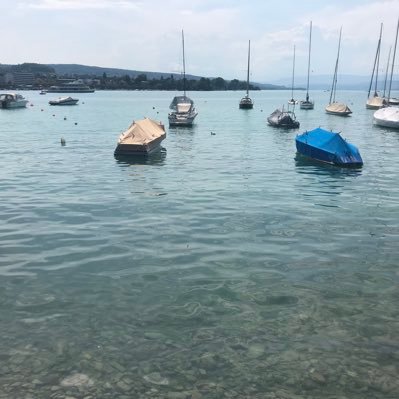 MahmoudAnouti's profile picture. Software engineer #Java #Spring