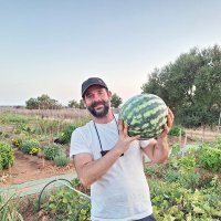 Alberto Vera Atienza (@ativera) 's Twitter Profile