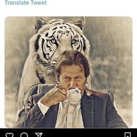 Areeba Sarfraz Ali (@areesarfrazali) 's Twitter Profile