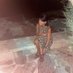 Saliha Grévin (@grevinsaliha) Twitter profile photo Saliha Grévin (@grevinsaliha) Twitter profile photo