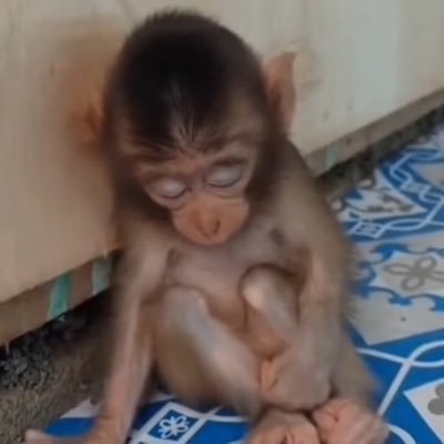 AbNightrain's profile picture. ahh entiendo entiendo (no entendí)