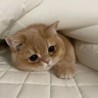 ๐๐๐๐๐ ๐๐๐๐๐ GAME CORNER (@_zwstore) 's Twitter Profile