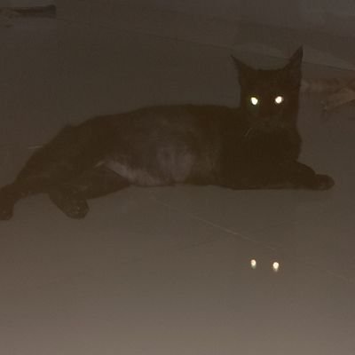 ZieZafr's profile picture. 