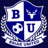 BriarUnited's profile picture. Competing in the BSFL Senior div 22/23 BSFL Div 3 winners 21/22 🏆 BSFL div 3 league cup winners 21/22🏆 Sponsored by Glazefix Ltd & DH Liquid Coatings Ltd.