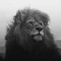 Samuel (@samuelduann) 's Twitter Profile Photo Samuel (@samuelduann) 's Twitter Profile Photo