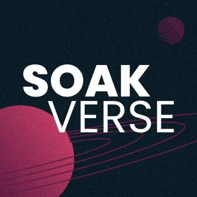 Soakverse ecosystem is sculpting the landscape of Web3 technologies, serving as a pivotal bridge between Web2 and Web3 paradigms.