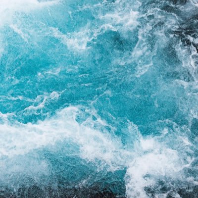 somewheretoplay's profile picture. 風雨中抱緊豉油