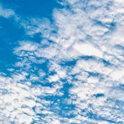 boomforever's profile picture. ShineTony💛✨ 💙🧡ZNn