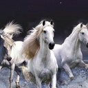 Laurie Corey - @hrselvr975 - Twitter