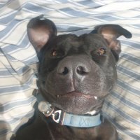 Bemoerd (@bemoerd) 's Twitter Profile
