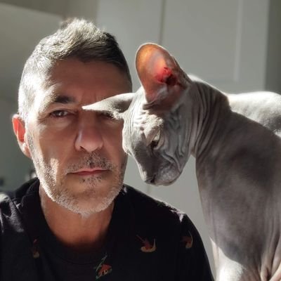 fesereli's profile picture. 
