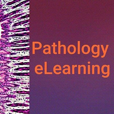 An online platform for learning histopathology. https://t.co/Clde3COviA
For Residents/Pathologists/FRCPath aspirants
Epathlearn@gmail.com