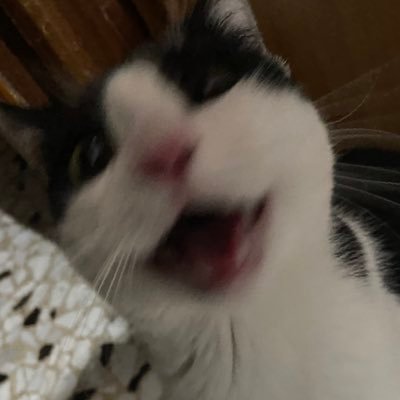 Lady_Magneto97's profile picture. 