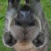 yeeplee (@yeengyyeemungus) Twitter profile photo yeeplee (@yeengyyeemungus) Twitter profile photo