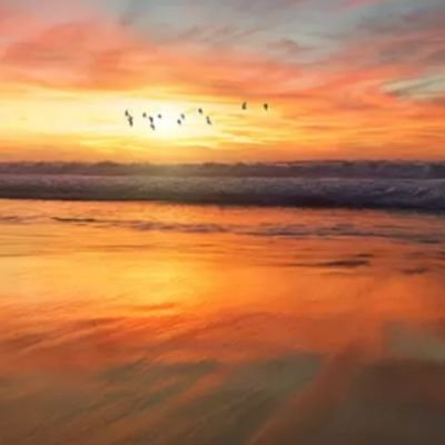 DavidJo28396709's profile picture. I believe in putting something before yourself it's an obligation to serve the betterment of mankind.We are all on the same kourney.Humble uourself.