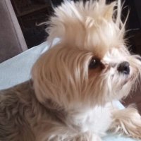zeynep (@ajda90130835) 's Twitter Profile